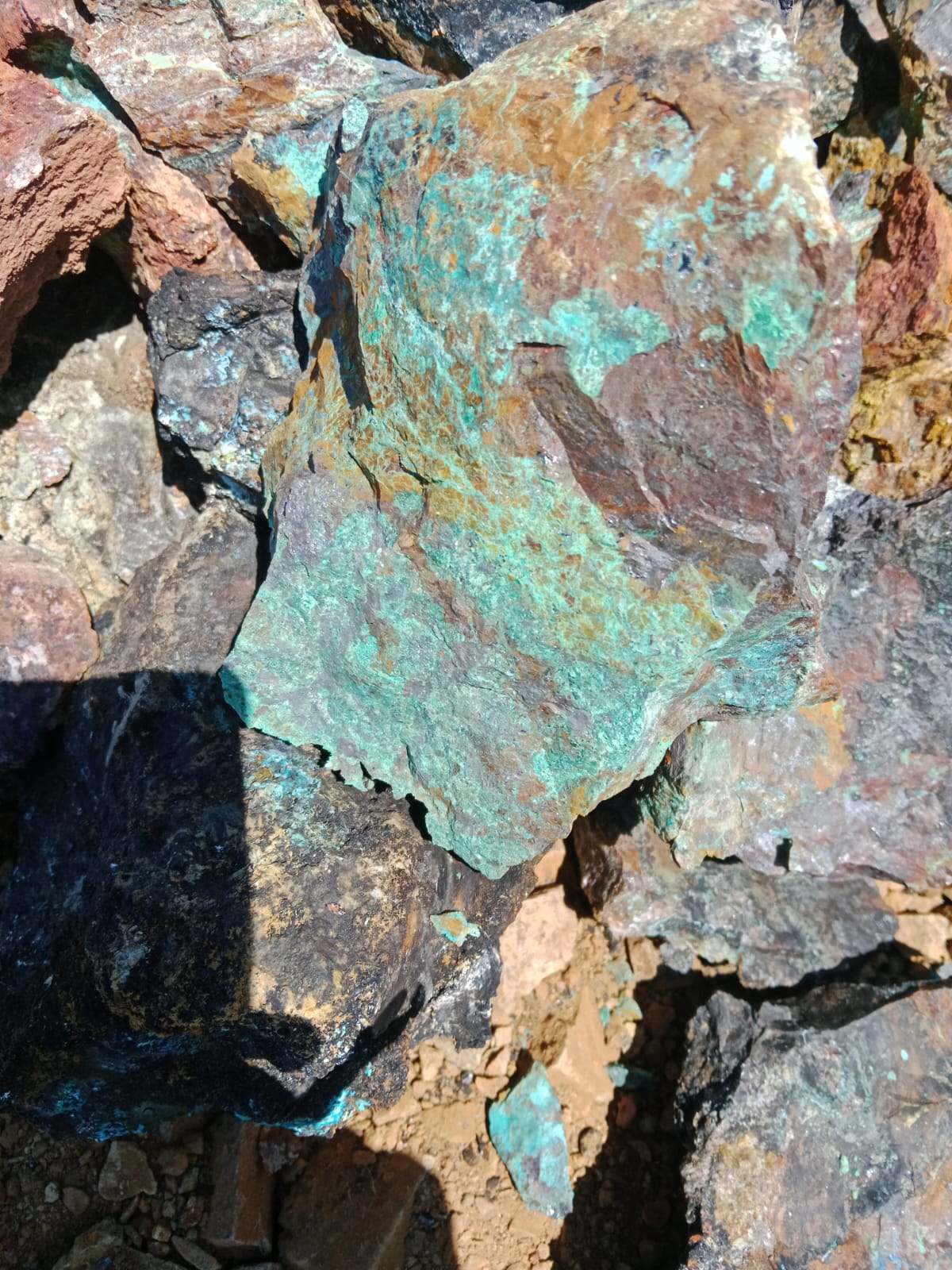 Concesión de Explotación Cu–Au en Canela (Choapa) | 60 ha