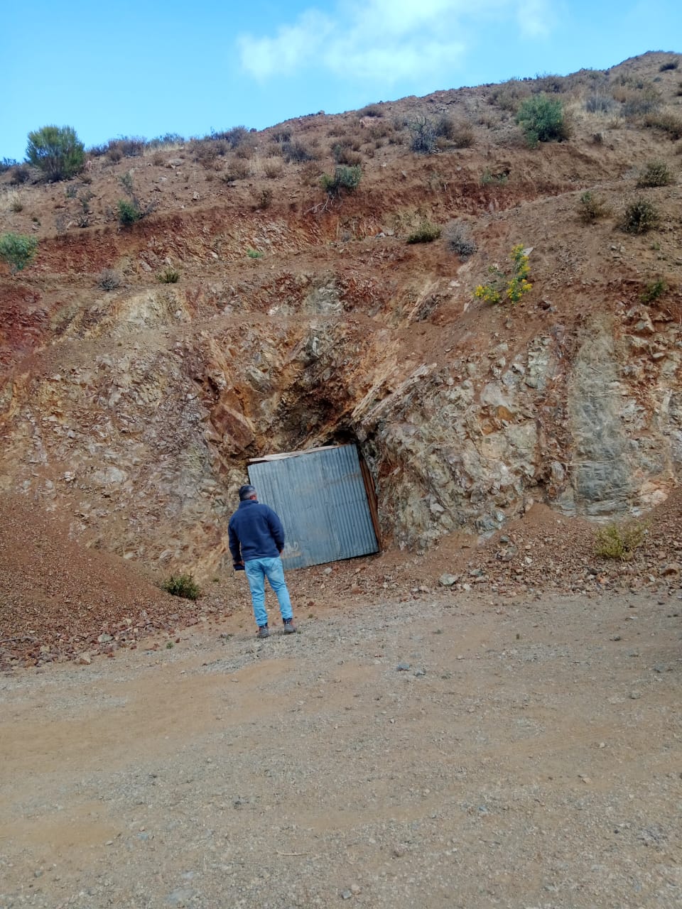Proyecto Cu-Au IOCG Canela Baja (Coquimbo) – Veta de alta ley con potencial en profundidad