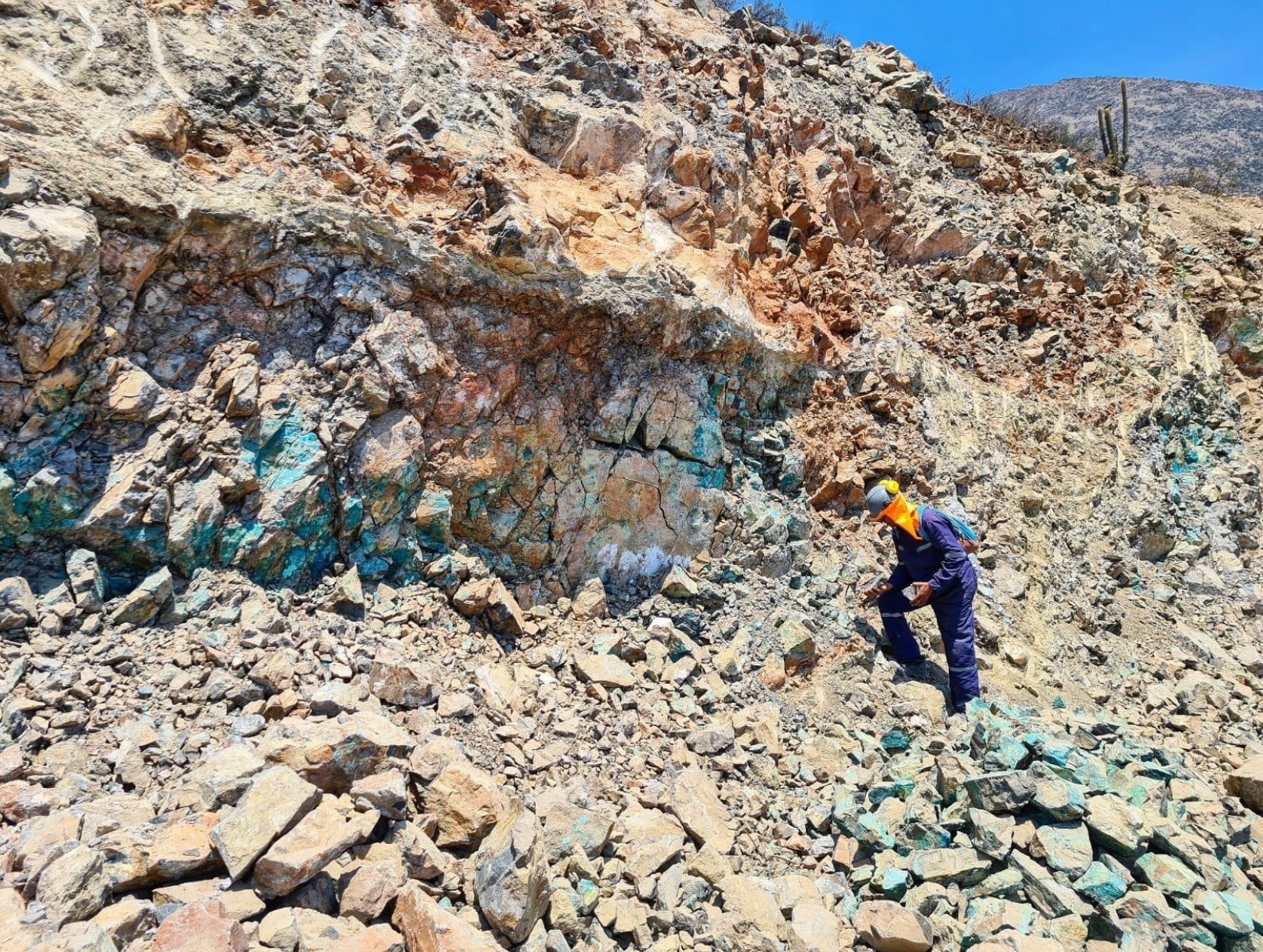 Cobre de alta ley en Chile Central (Petorca) - 817 ha - Anomalías hasta 4,4% CuT · 817 ha